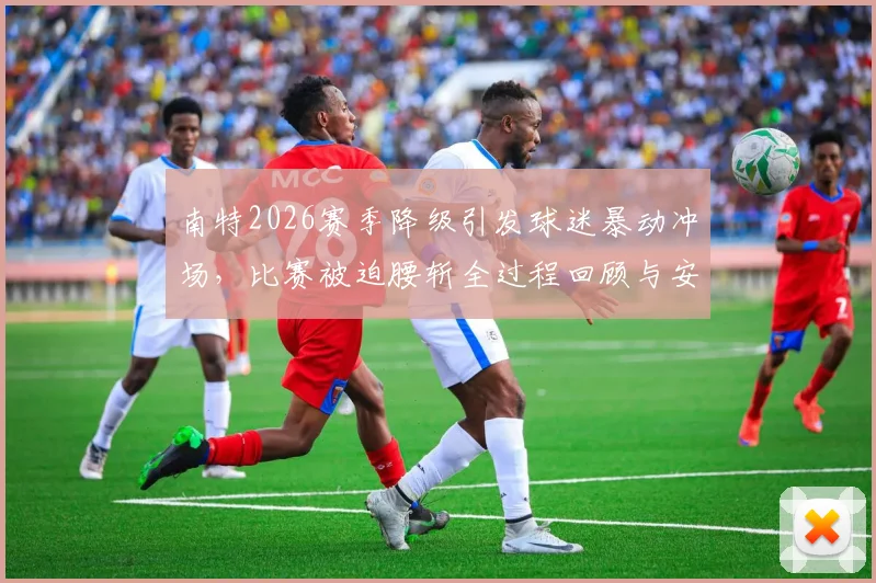 南特2026赛季降级引发球迷暴动冲场，比赛被迫腰斩全过程回顾与安全警示