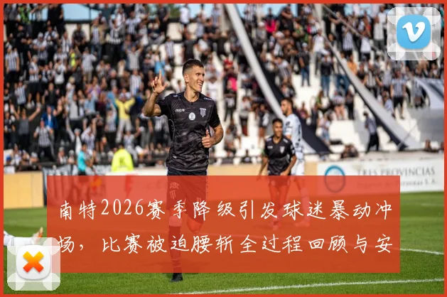 南特2026赛季降级引发球迷暴动冲场，比赛被迫腰斩全过程回顾与安全警示